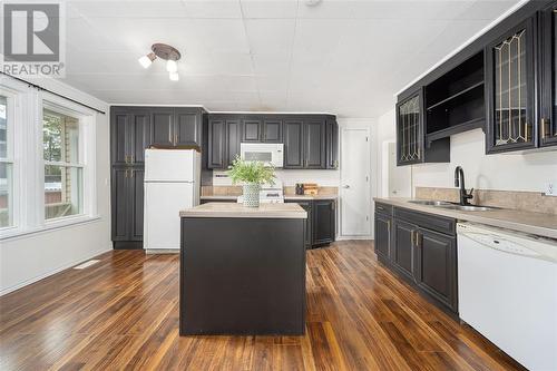 119 Samuel Street, Sarnia, ON - Indoor Photo Showing Kitchen With Double Sink