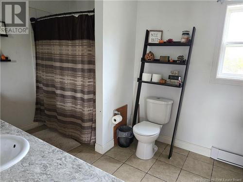 503 Route 148, Killarney Road, NB - Indoor Photo Showing Bathroom