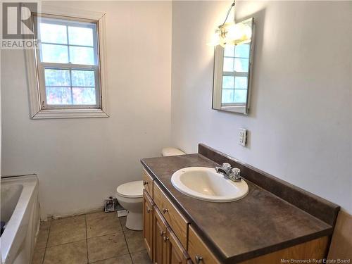 503 Route 148, Killarney Road, NB - Indoor Photo Showing Bathroom