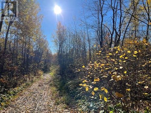 421 Casimir Road, St. Charles, ON - Outdoor With View