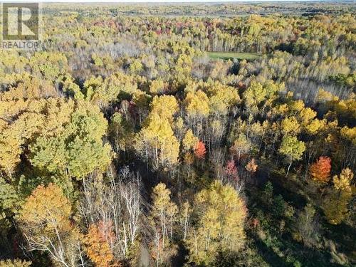 421 Casimir Road, St. Charles, ON - Outdoor With View