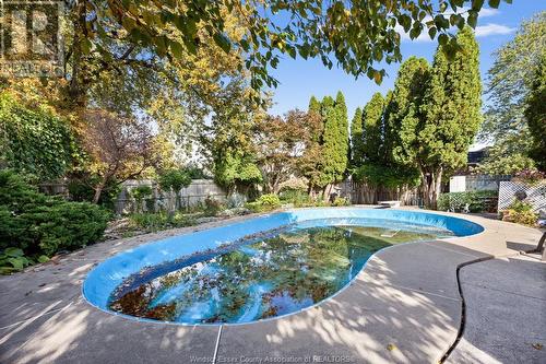 4726 Howard, Windsor, ON - Outdoor With In Ground Pool With Backyard