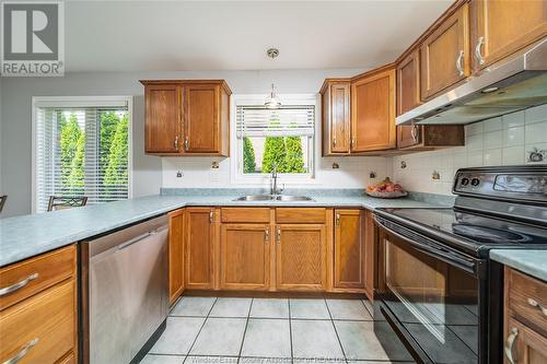 2083 Shawnee Road, Tecumseh, ON - Indoor Photo Showing Kitchen With Double Sink