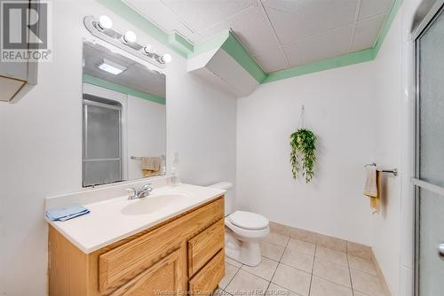 4596 Gapam Court, Windsor, ON - Indoor Photo Showing Bathroom