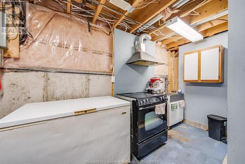 4596 Gapam Court, Windsor, ON - Indoor Photo Showing Basement