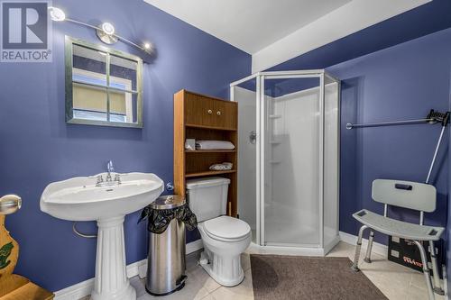 13 Balnafad Place, St. John'S, NL - Indoor Photo Showing Bathroom