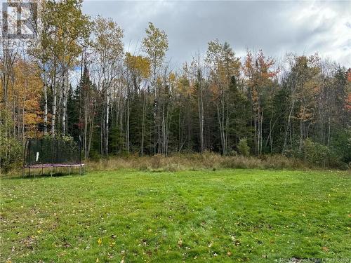 976 Pleasant Drive, Minto, NB - Outdoor With View