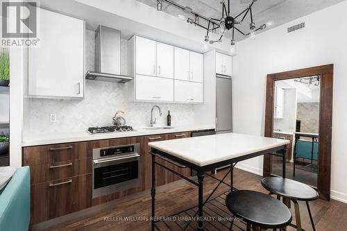 229 - 560 King Street W, Toronto, ON - Indoor Photo Showing Kitchen With Upgraded Kitchen