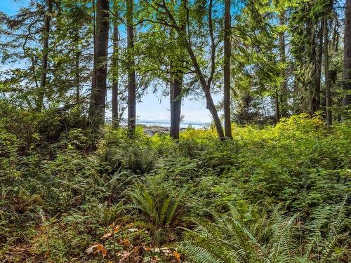 2465 Blackfish Rd, Sooke, BC 