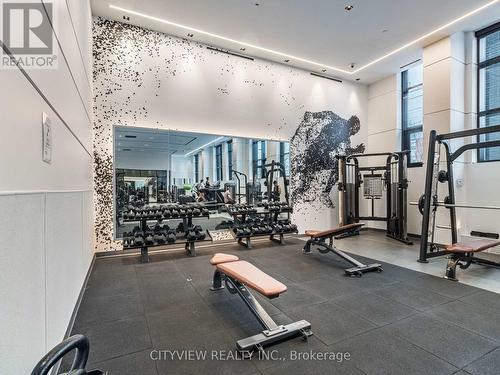 603 - 50 George Butchart Drive, Toronto, ON - Indoor Photo Showing Gym Room