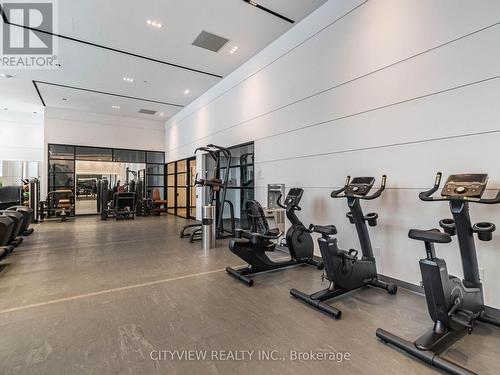 603 - 50 George Butchart Drive, Toronto, ON - Indoor Photo Showing Gym Room