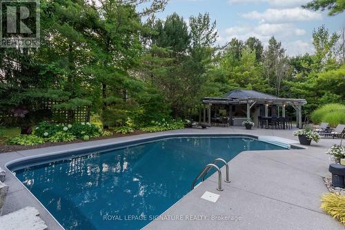 21 Trails End, Collingwood, ON - Outdoor With In Ground Pool With Deck Patio Veranda With Backyard