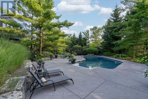 21 Trails End, Collingwood, ON - Outdoor With In Ground Pool With Deck Patio Veranda