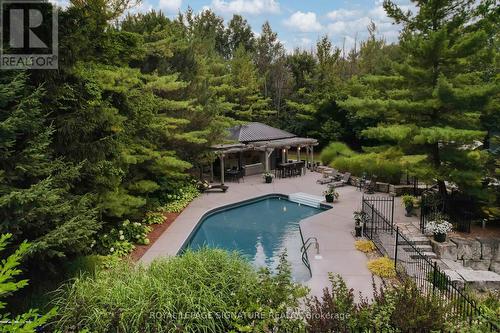 21 Trails End, Collingwood, ON - Outdoor With In Ground Pool