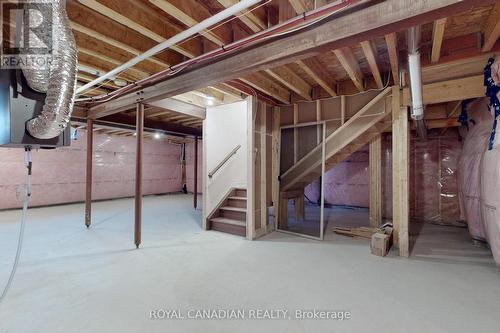 529 Red Elm Road, Shelburne, ON - Indoor Photo Showing Basement