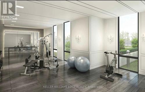 205 - 42 Mill Street, Halton Hills, ON - Indoor Photo Showing Gym Room