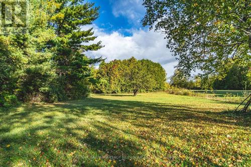 215 Phillips Street, Barrie, ON - Outdoor With View