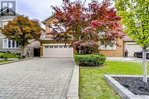 7 Boyd Meadow Court, Vaughan, ON - Outdoor