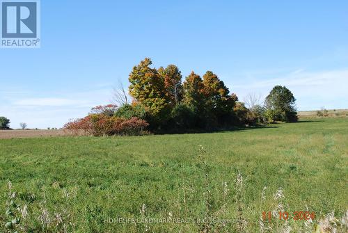 3548 Concession Road 7 Road, Clarington, ON - Outdoor With View