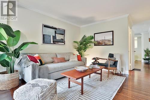 43 Golfview Avenue, Toronto, ON - Indoor Photo Showing Living Room