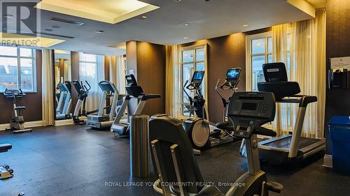 325 - 25 Greenview Avenue, Toronto, ON - Indoor Photo Showing Gym Room