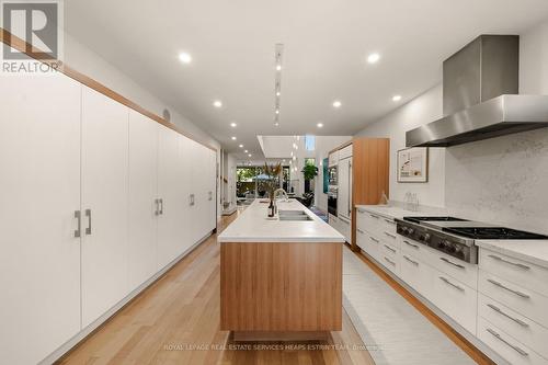 102 Robert Street, Toronto, ON - Indoor Photo Showing Kitchen With Double Sink With Upgraded Kitchen