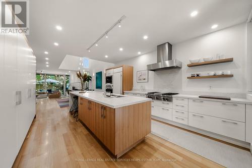 102 Robert Street, Toronto, ON - Indoor Photo Showing Kitchen With Upgraded Kitchen