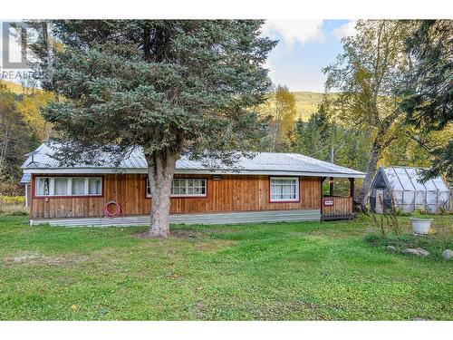 3818 Diamond Drive, Blue River, BC - Outdoor