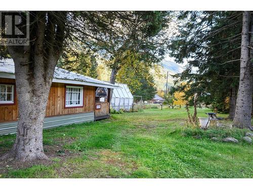 3818 Diamond Drive, Blue River, BC - Outdoor