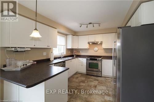 67 Bloomington Drive, Cambridge, ON - Indoor Photo Showing Kitchen With Double Sink