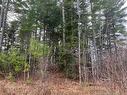 Lot 1 Route 105, Youngs Cove, NB 