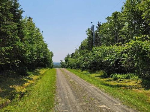 41A Widow Point Loop, Inverness, NS 