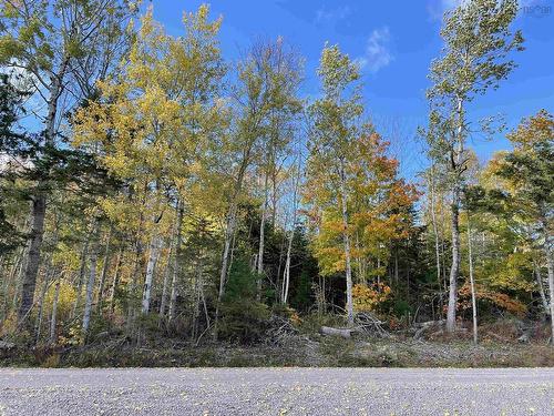 0.514 Acre Lot Owen Road, Hardwood Hill, NS 