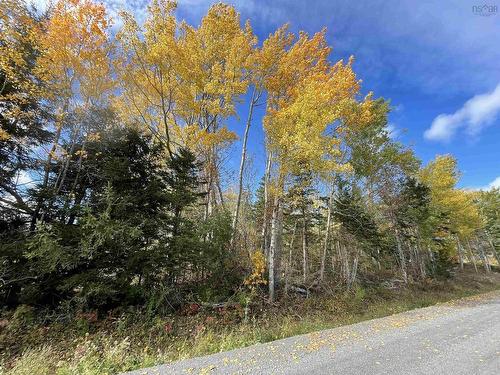 0.514 Acre Lot Owen Road, Hardwood Hill, NS 