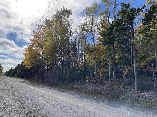 0.514 Acre Lot Owen Road, Hardwood Hill, NS 