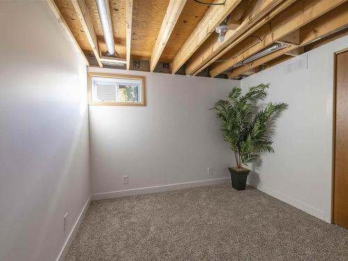 116 Elmwood Crescent, Thunder Bay, ON - Indoor Photo Showing Basement