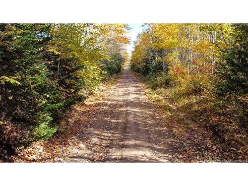 Lot Fisher Hill, Bouctouche, NB 