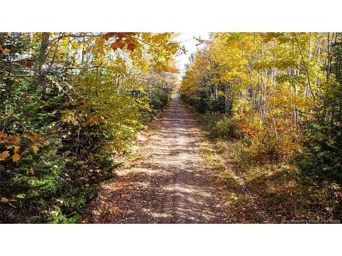 Lot Fisher Hill, Bouctouche, NB 