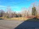 34 Roulston Ave, Plaster Rock, NB 