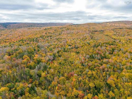 Lot Shore Road W, Delaps Cove, NS 