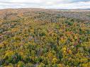 Lot Shore Road W, Delaps Cove, NS 