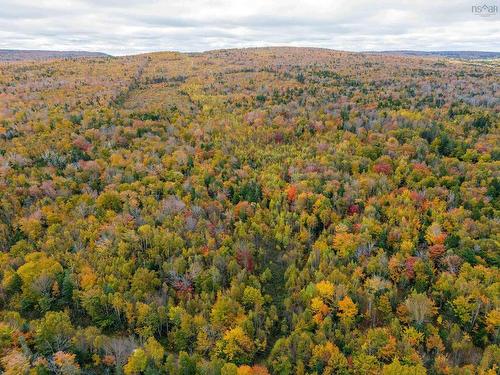 Lot Shore Road W, Delaps Cove, NS 