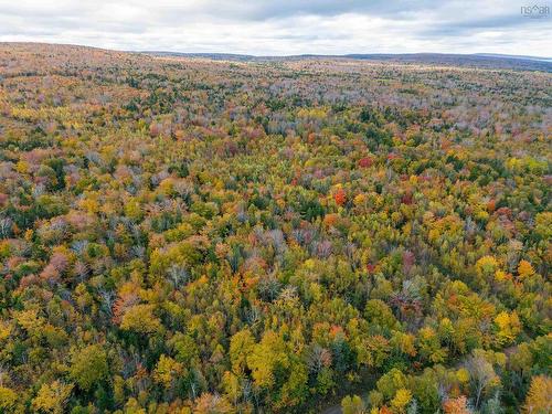 Lot Shore Road W, Delaps Cove, NS 