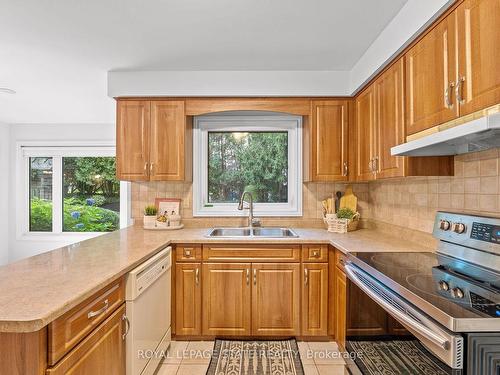 125 Chatterson Dr, Hamilton, ON - Indoor Photo Showing Kitchen With Double Sink