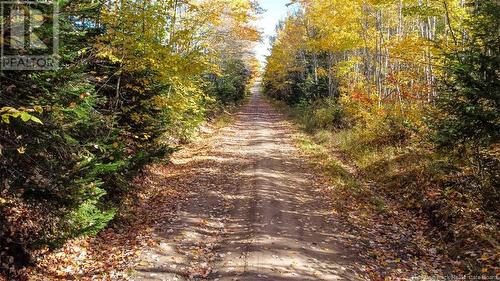 Lot Fisher Hill, Bouctouche, NB 