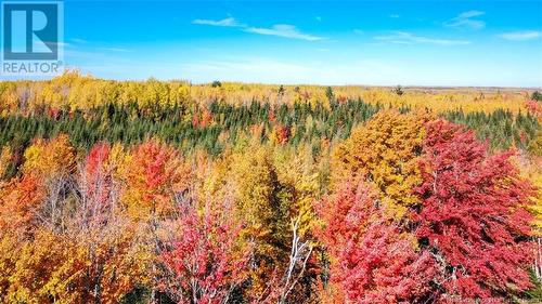 Lot Fisher Hill, Bouctouche, NB 