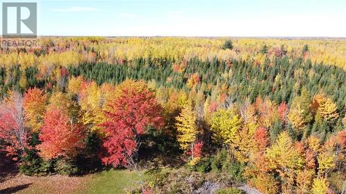 Lot Fisher Hill, Bouctouche, NB 