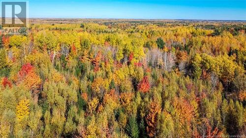 Lot Fisher Hill, Bouctouche, NB 