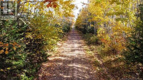 Lot Fisher Hill, Bouctouche, NB 