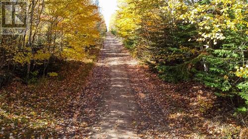 Lot Fisher Hill, Bouctouche, NB 